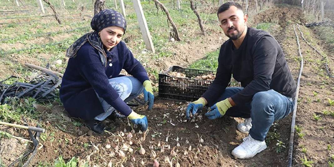 Hem çiçeğini hem tohumunu satıyor, talep patlıyor! Yurt içinin ardından yurt dışına açılmaya hazırlıyor 3